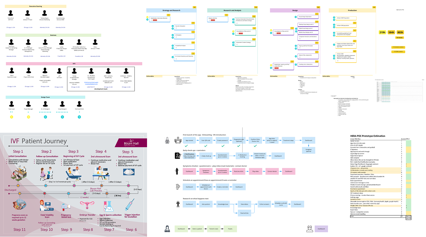 Program maps of roles and phases, IVF patient journey, prioritized flow, and effort estimate used to plan the 45-day POC.
